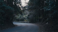 正義の行方